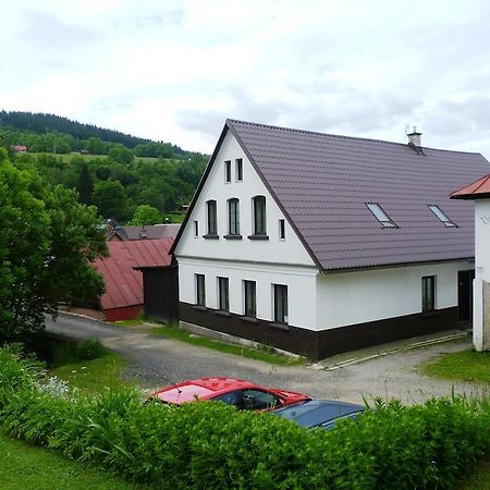 Penzion Pod Studenovem Rokytnice nad Jizerou Kültér fotó