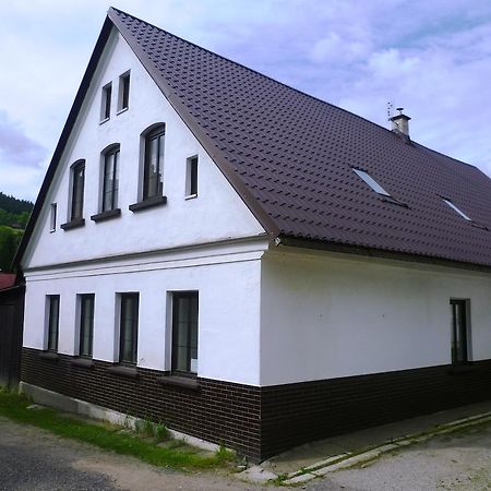 Penzion Pod Studenovem Rokytnice nad Jizerou Kültér fotó