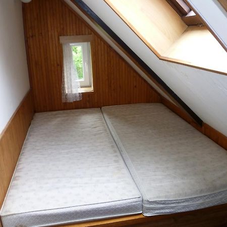 Penzion Pod Studenovem Rokytnice nad Jizerou Kültér fotó